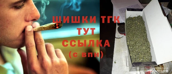 PSILOCYBIN Горняк