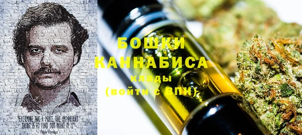 PSILOCYBIN Горняк