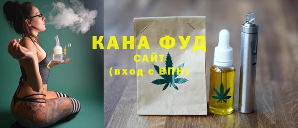 индика Горнозаводск