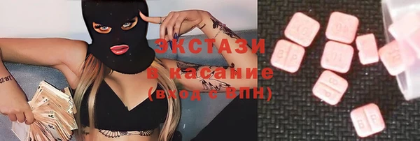 индика Горнозаводск