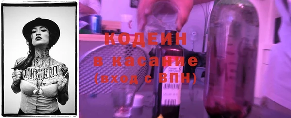 PSILOCYBIN Горняк