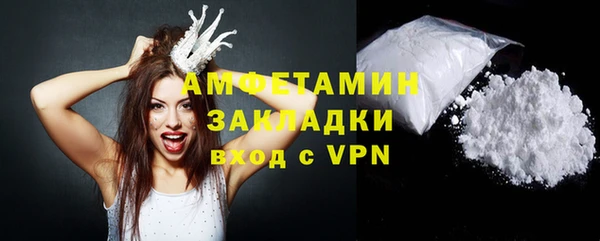 PSILOCYBIN Горняк