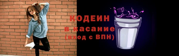 индика Горнозаводск