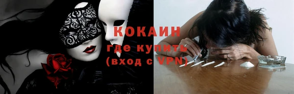индика Горнозаводск