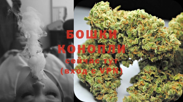 PSILOCYBIN Горняк
