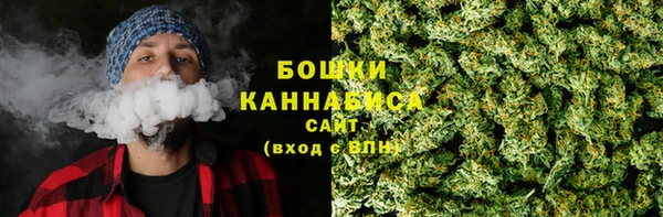 индика Горнозаводск