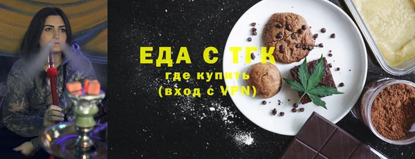 индика Горнозаводск