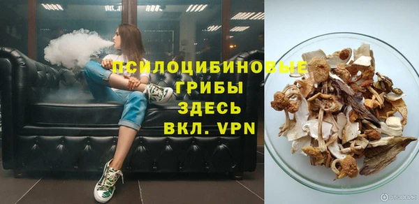 индика Горнозаводск