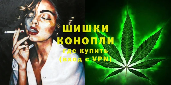 индика Горнозаводск