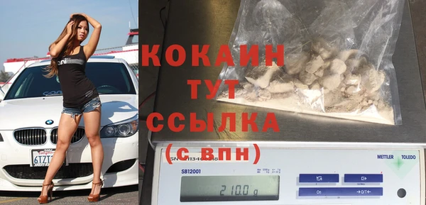 индика Горнозаводск