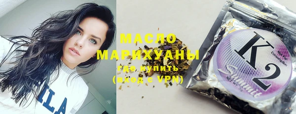 индика Горнозаводск