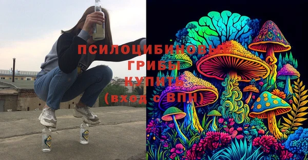 индика Горнозаводск