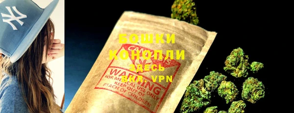 PSILOCYBIN Горняк