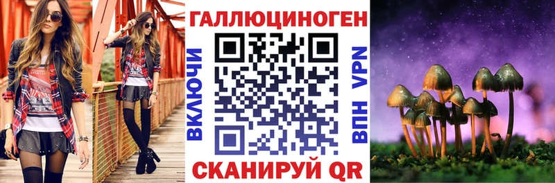 закладка  Оха  Псилоцибиновые грибы Psilocybe 